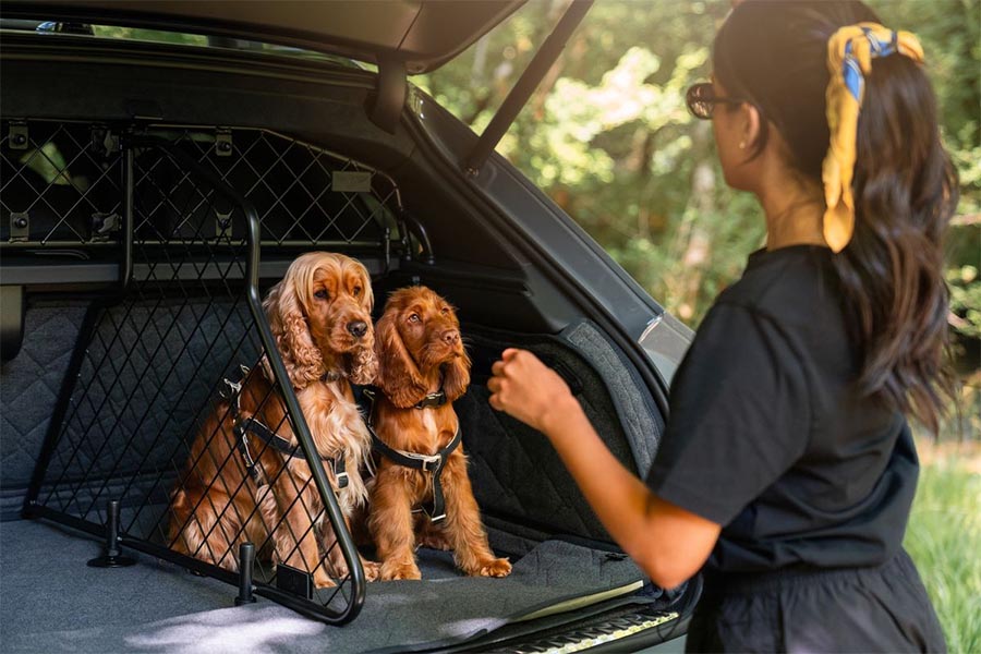 Bentley amplía el universo Bentayga con una gama de accesorios para mascotas