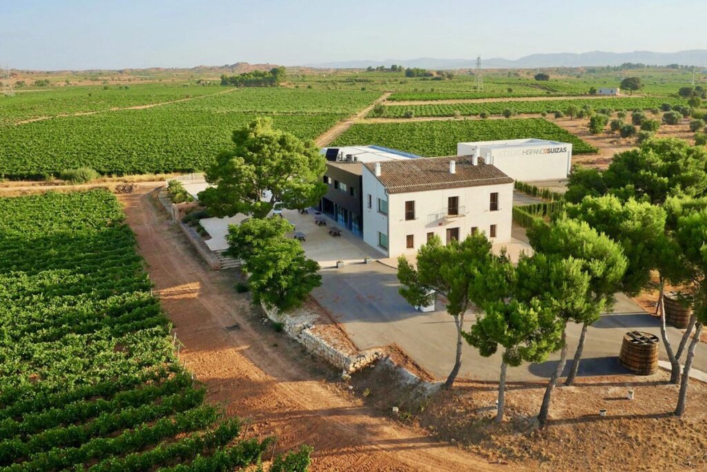 Los premios AEPEV reflejan el peso de Ribera del Duero y Andalucía en el mapa del vino español